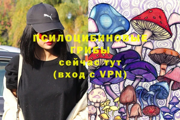 дмт Горняк