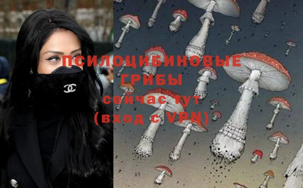 альфа пвп Горнозаводск