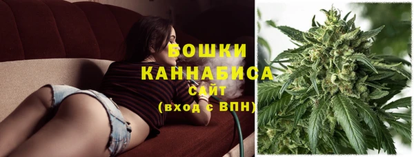 дмт Горняк