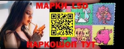 индика Нальчик