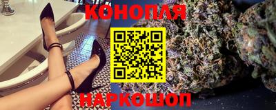 индика Нальчик