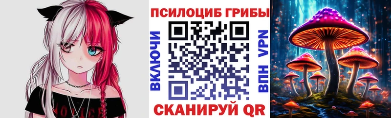 Псилоцибиновые грибы ЛСД Городец