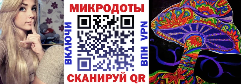 мориарти Telegram  Городец  Псилоцибиновые грибы Cubensis  где купить  