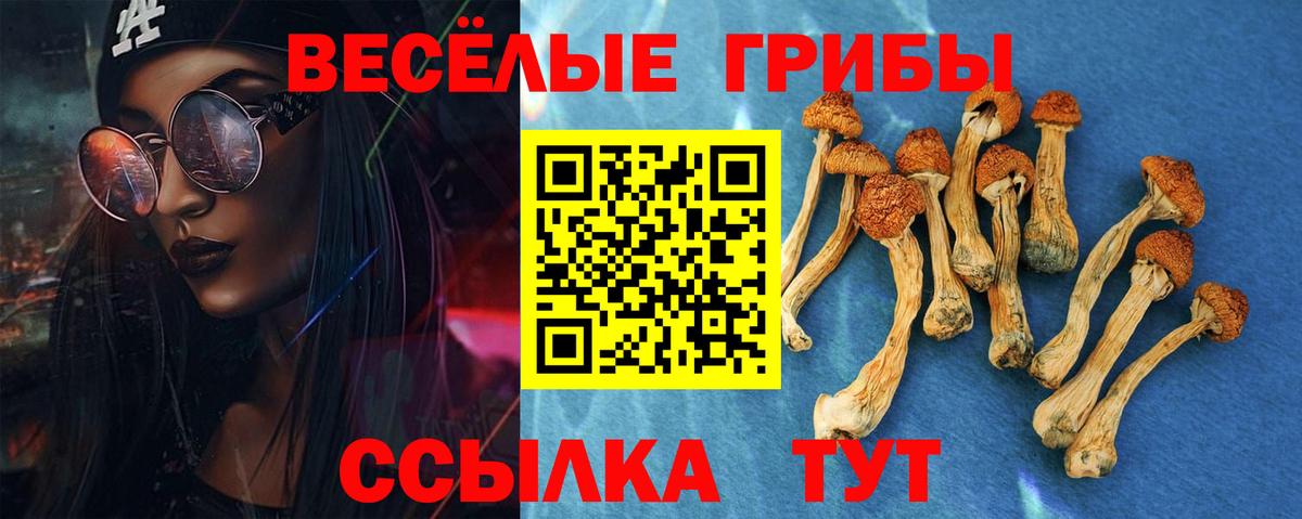 Псилоцибиновые грибы Psilocybine cubensis Городец