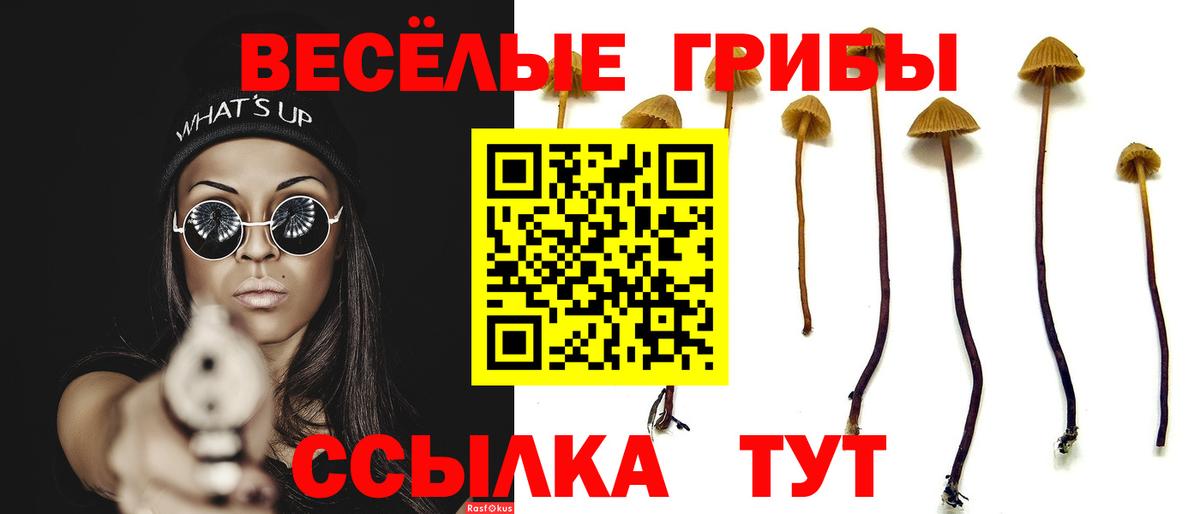 Псилоцибиновые грибы мухоморы  Вход с VPN  Городец  Галлюциногенные грибы Psilocybine cubensis 